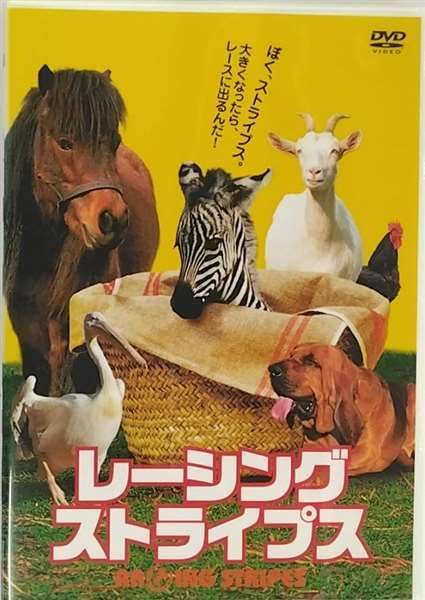 レーシング・ストライプス［DVD］はコチラ／