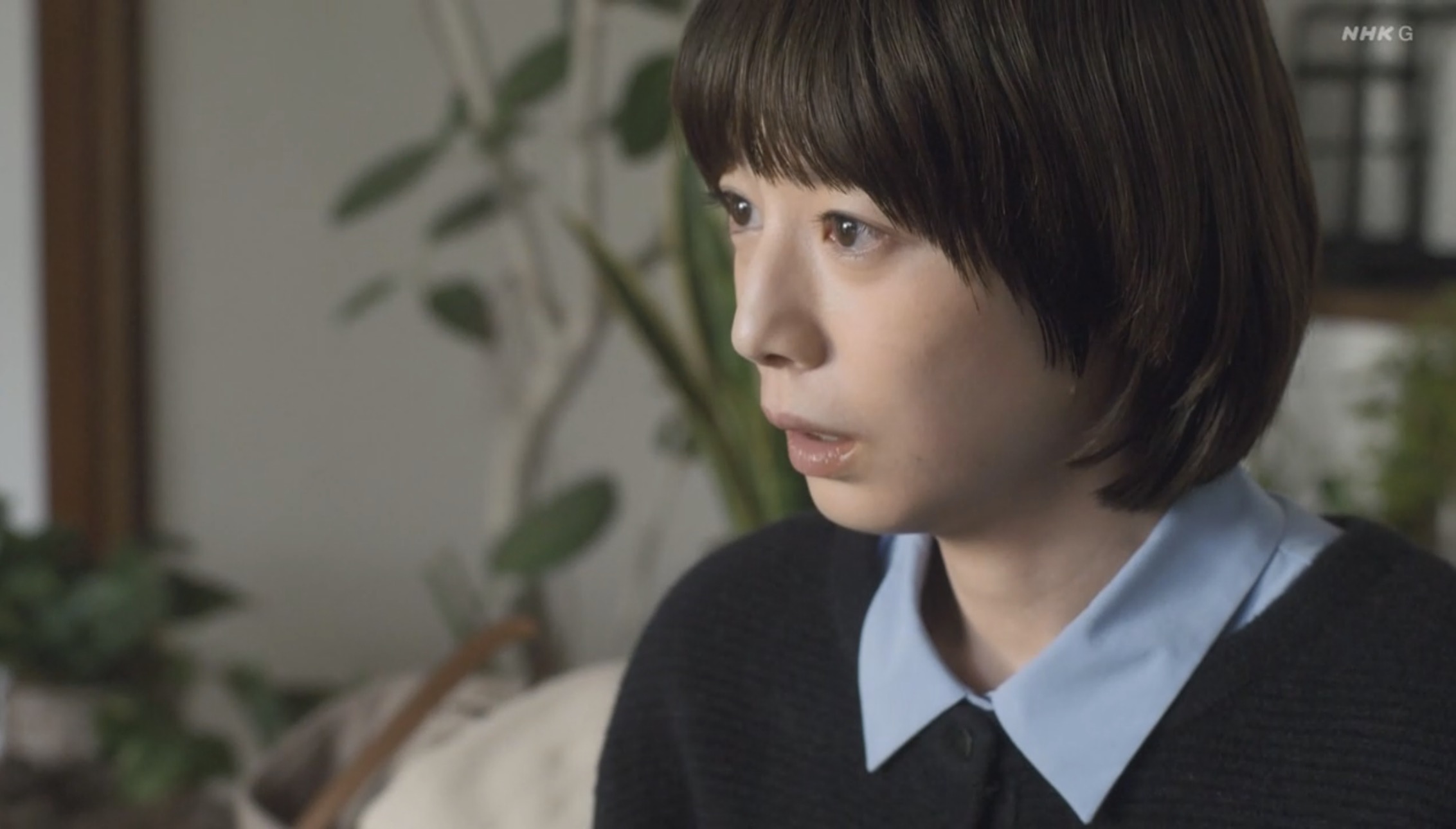 夏帆（ある小説家の日記）