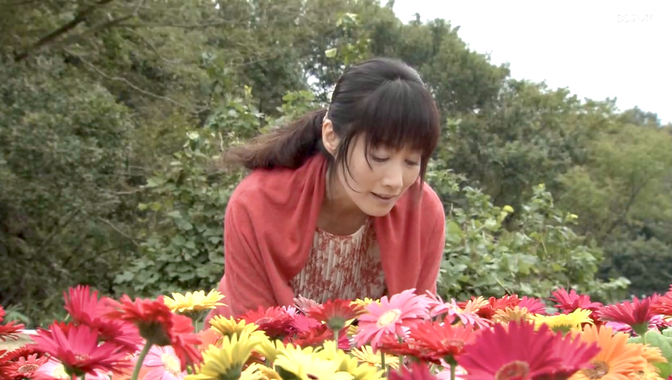 余貴美子（鉢植を買う女）