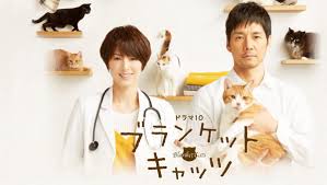 ＼ブランケット・キャッツを観るならPrimeVideoで／