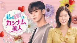 私のIDはカンナム美人(2018)
