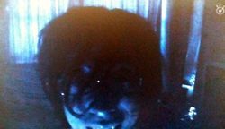 右下に見える友達の顔