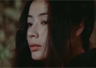 藤純子（緋牡丹博徒 お命戴きます）