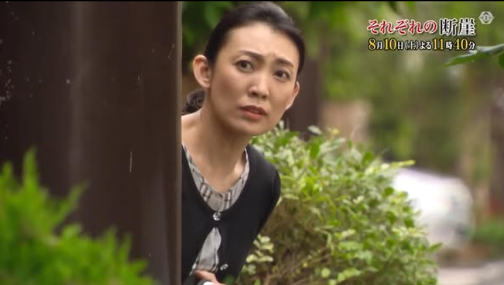 田中美里（それぞれの断崖）